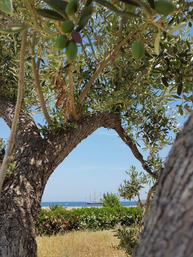 Bed & Breakfast Del Faro Giovinazzo Esterno foto