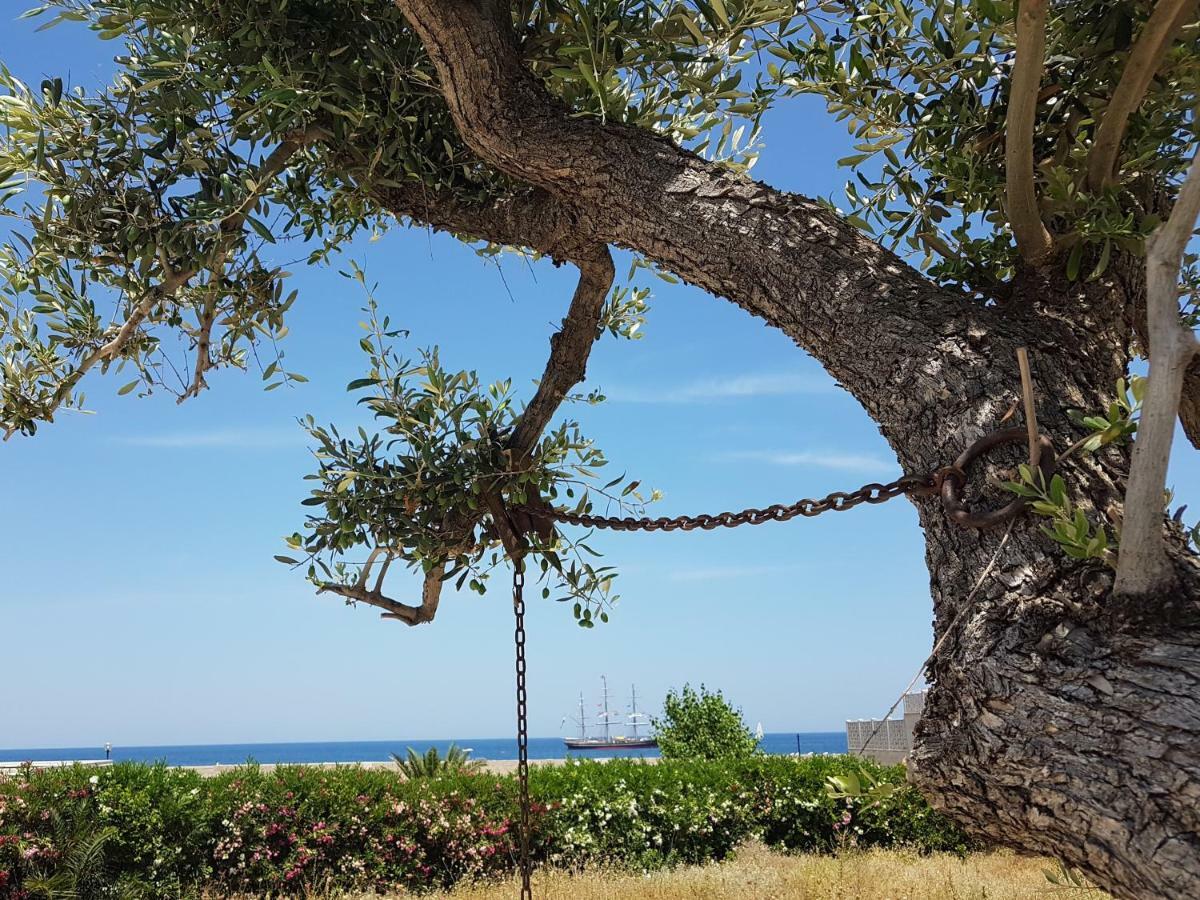 Bed & Breakfast Del Faro Giovinazzo Esterno foto